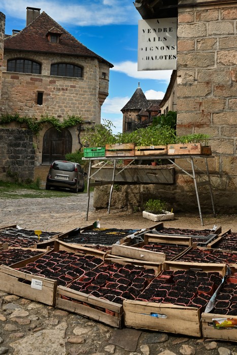 Curemonte